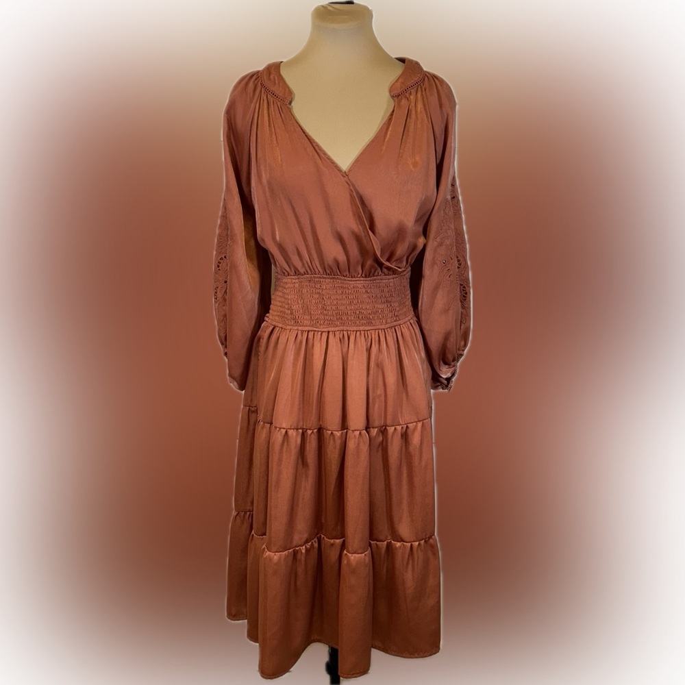NWT Penelope Rose Shimmery Embroidered Long Sleeve Dress